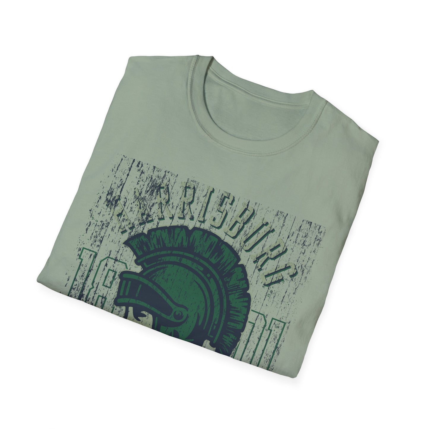 Art Design Shirt, T Shirt with Art, Graphic Shirt, Tee Shirt with Graphic Design, Shirt with Graphic Art, Art Graphic Shirt