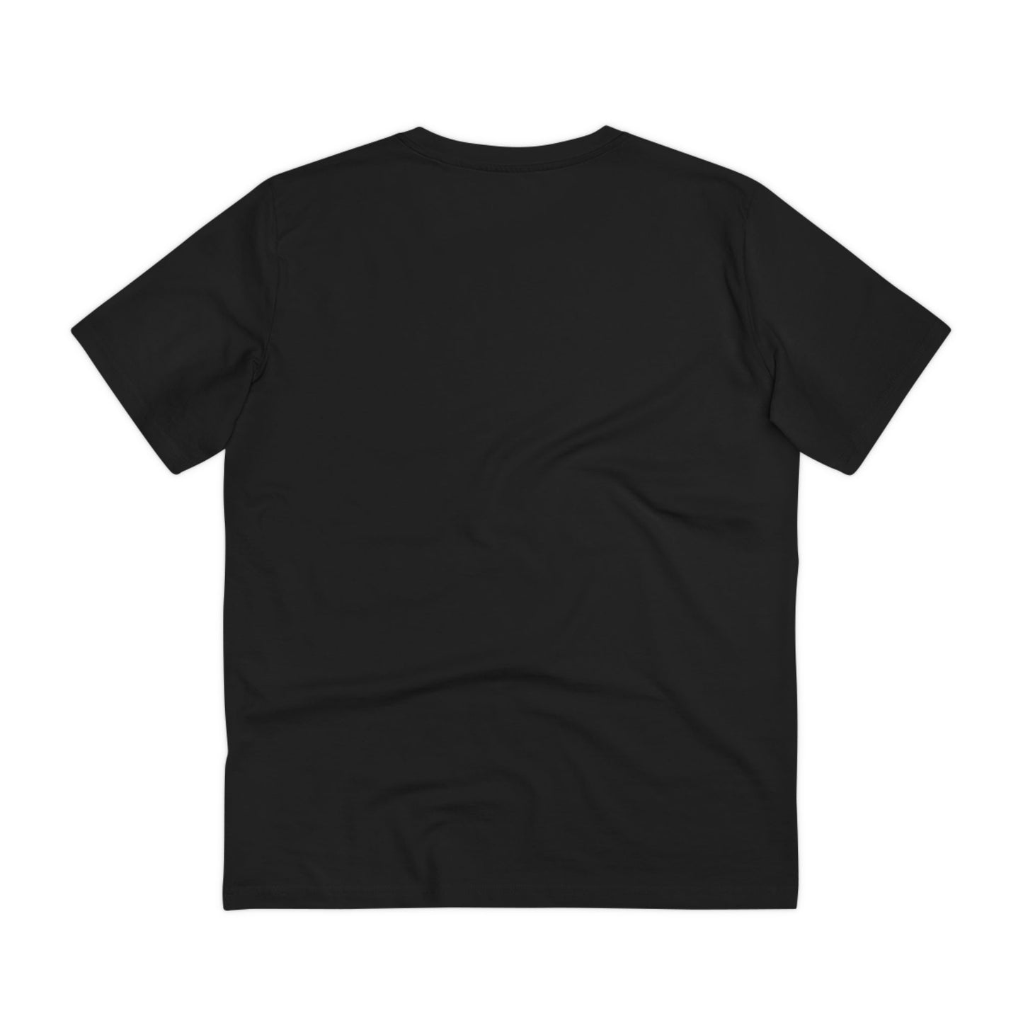 Organic T-shirt with Ship