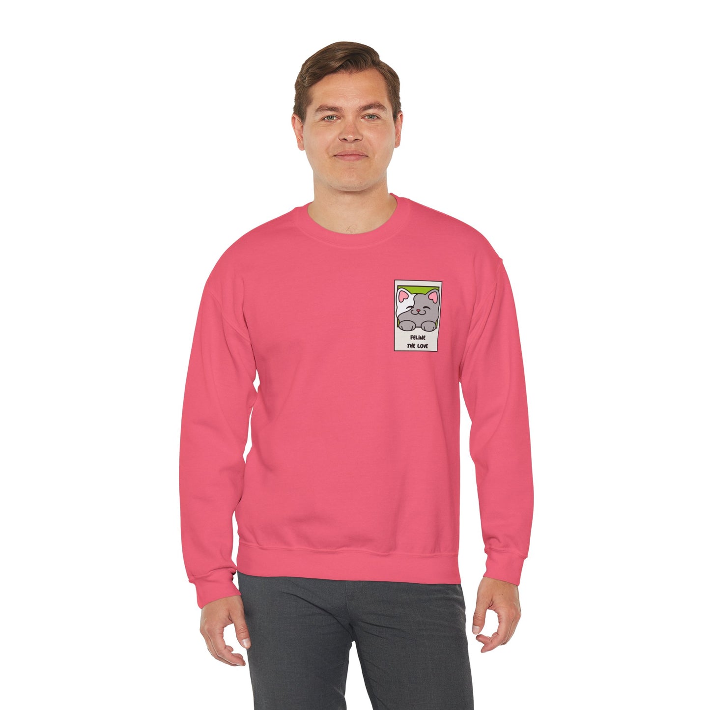 Pocket Cat Sweatshirt Unisex Cat Heart Sweatshirt Valentines Day Gift 50 Percent Cotton Poly Blend